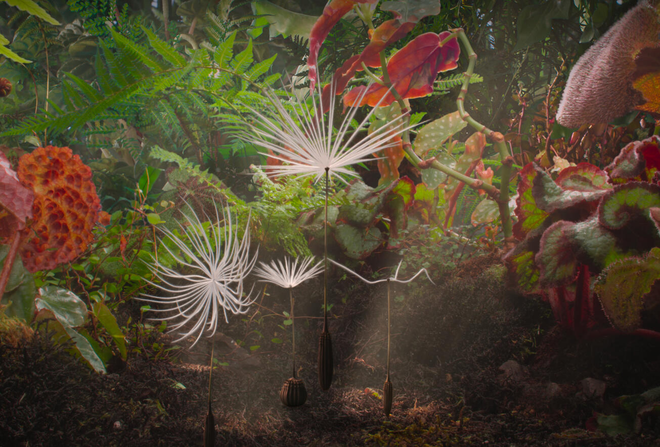 Long-métrage : Planètes (2024-2025)